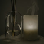 Diffuseur Parfumé Sous Cloche-Design Minimaliste & Tiges Naturelles